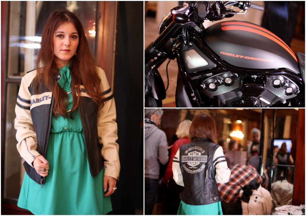 soire_e_Harley_Davidson_au_Pre_Catelan_lundi_8_octobre_2012